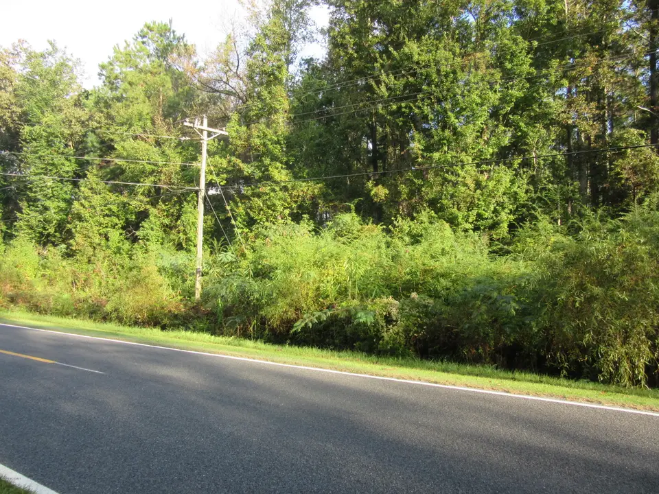Near 1671 Old Wilmington Road, Whiteville, NC 28472 – photo 1 of 2: IMG_4592