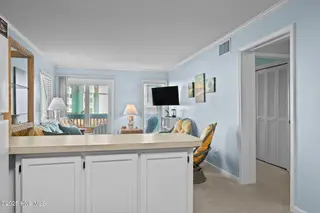 301 Commerce Way 142, Atlantic Beach, NC 28512 – photo 3: 3-web-or-mls-1S3A5300