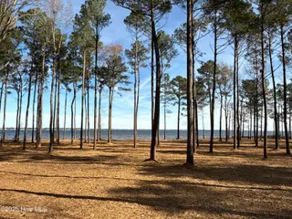 0 Norfleet Shores Road, Belhaven, NC 27810 – photo 17: IMG_0817 2