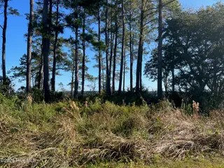 211 S River Drive, Beaufort, NC 28516 – photo 18: IMG_2494