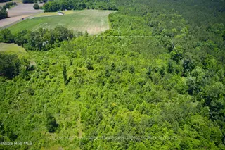 6615 Silver Spoon Road, Clarkton, NC 28433 – photo 16: MLS_Ready (7 of 40)v