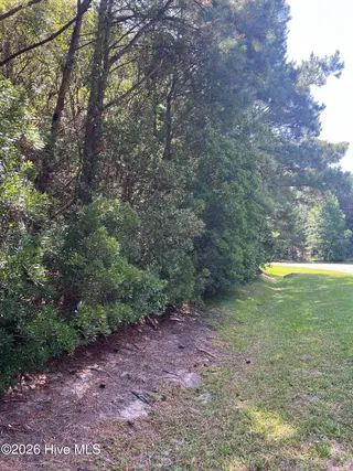 42 Windy Point, Belhaven, NC 27810 – photo 6: IMG_5856