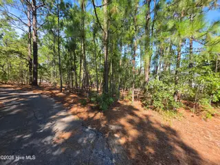 108 2283 Dartmoor Lane, West End, NC 27376 – photo 8: 20260909_151721