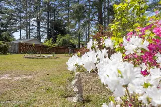 3014 Rouse Road, Kinston, NC 28504 – photo 11: 11-web-or-mls-BLS_0007
