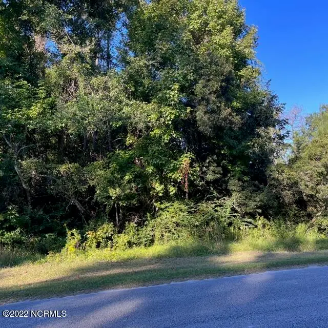221 Prichard Avenue, Havelock, NC 28532 – photo 1 of 10: IMG_4415