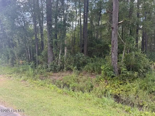 2539 Chauncey Town Road, Lake Waccamaw, NC 28450 – photo 1 of 8: IMG_3650
