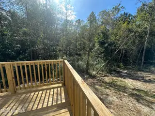 140 Dallas Drive, Beulaville, NC 28518 – photo 23: IMG_6075 (1)
