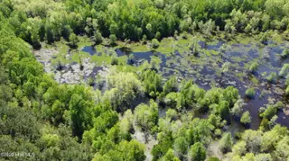 Off Speights Chapel Road, Whitakers, NC 27891 – photo 16: DJI_0585