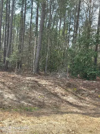 275 10 Raynor Sands Drive, Dunn, NC 28334 – photo 2: 20260306_111753(1)