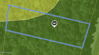 161 Old Washington Road, Vanceboro, NC 28586 — lot, Vanceboro, NC, photo 3 of 4: 03-Photo 3