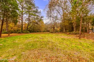1350 Croomsbridge Road, Burgaw, NC 28425 – photo 12: 1Q3A0230(3)-Edit--web-2