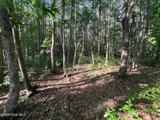 0 Tract 1 Nc 30, Stokes, NC 27884 – photo 10: IMG_6009