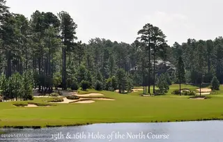 212 920 Meyer Farm Drive, Pinehurst, NC 28374 – photo 13: 20160428132405027322000000 copy
