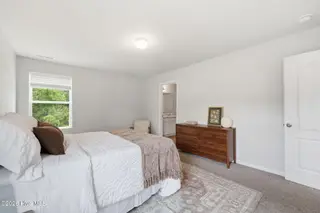 821 Conductor Court, Vass, NC 28394 – photo 20: 18-web-or-mls-IMG_6950