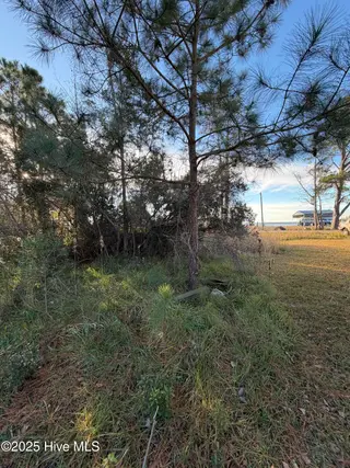 0 Sr 1730 Old Pamlico Beach Road West, Belhaven, NC 27810 – photo 8: IMG_9086