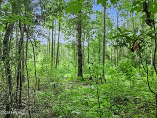 705 Sandy Point Drive, Beaufort, NC 28516 – photo 13: 9