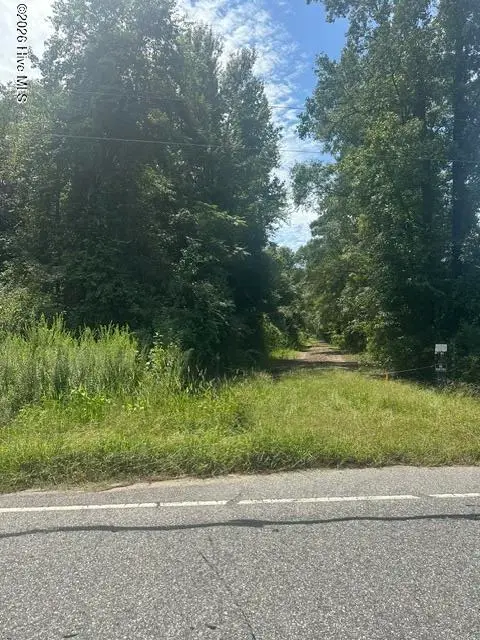 Near 3691 Braswell Road, Chadbourn, NC 28431 – photo 1 of 7: land