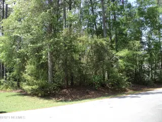 Lot 53 W Fairway Drive, Washington, NC 27889 – photo 3: 003 View from Road 1