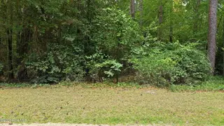 109 5 Equestrian Lane, Carthage, NC 28327 – photo 2: 2-web-or-mls-DJI_20260709142201_0629_D