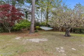 1701 E Walnut Street, Goldsboro, NC 27530 – photo 7: 5T5A5047