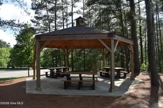 143 4021 Swaringen Drive, Seven Lakes, NC 27376 – photo 21: DSC_0389