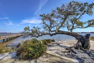 1643 Chadwick Shores Drive, Sneads Ferry, NC 28460 – photo 19: 823 Chadwick Shores Dr Sneads-large-056-
