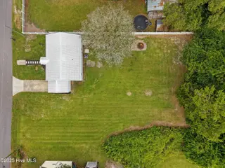 313 First Avenue, Vanceboro, NC 28586 – photo 20: 313 First Avenue, Vanceboro, NC 28586