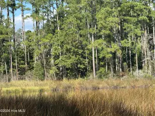 2 2 Alexander Drive, Belhaven, NC 27810 – photo 7: IMG_0072