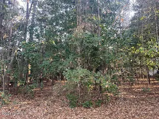 408 Lot 4, La Grange, NC 28551 – photo 9: Back of Lot