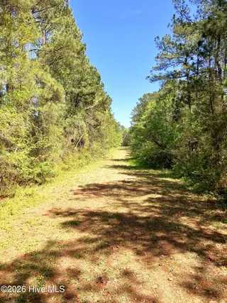 0 Lukeath Carter Drive, Havelock, NC 28532 – photo 14: LCD16