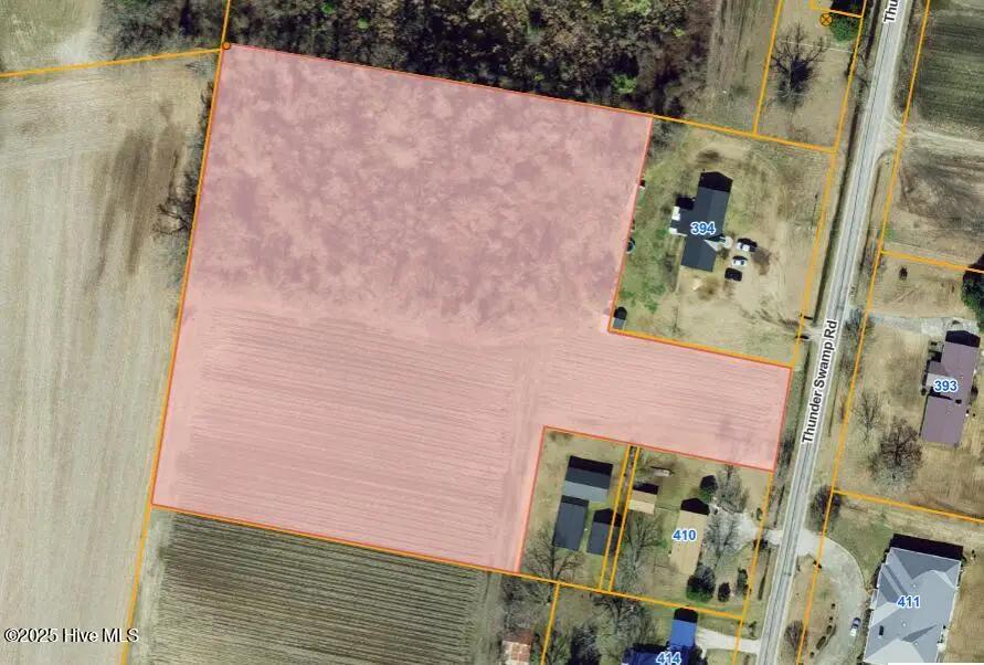 Parcel 6 Thunder Swamp Road, Mount Olive, NC 28365 – photo 1 of 1: aerial