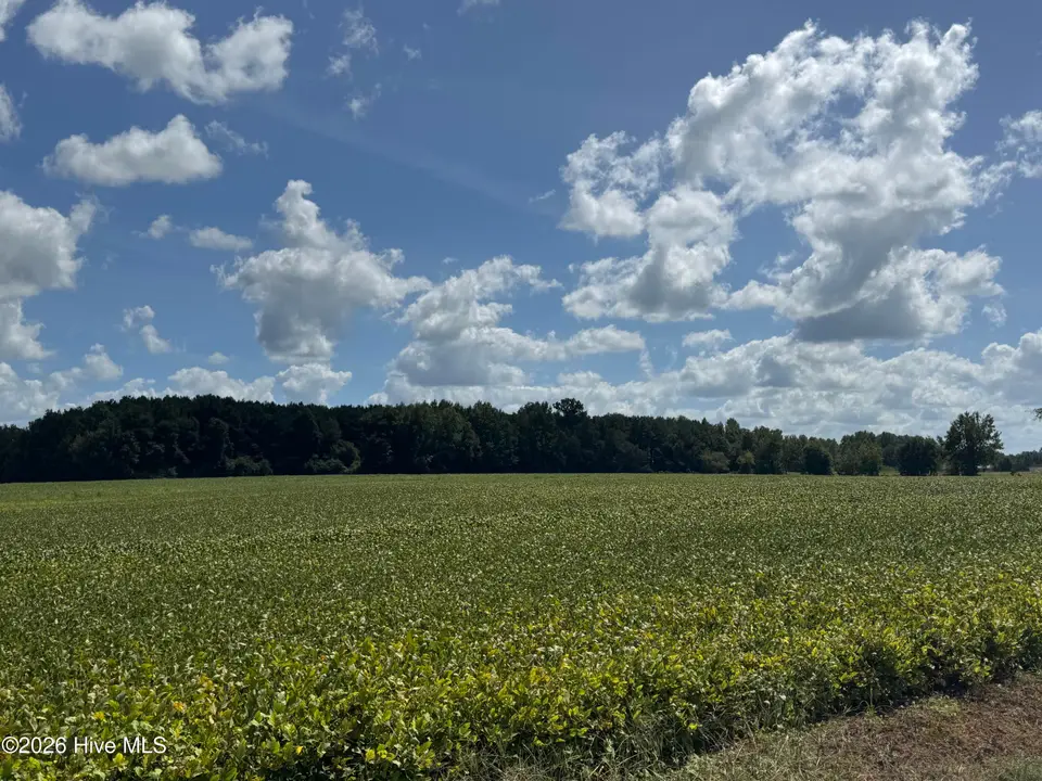 Near 257 7 A M Godwin Road, Clarendon, NC 28432 – photo 1 of 4: View from the front left
