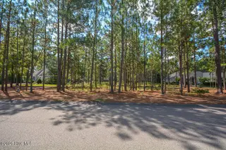 45 Abbottsford Drive, Pinehurst, NC 28374 – photo 7: 45AbbottsfordDr-09