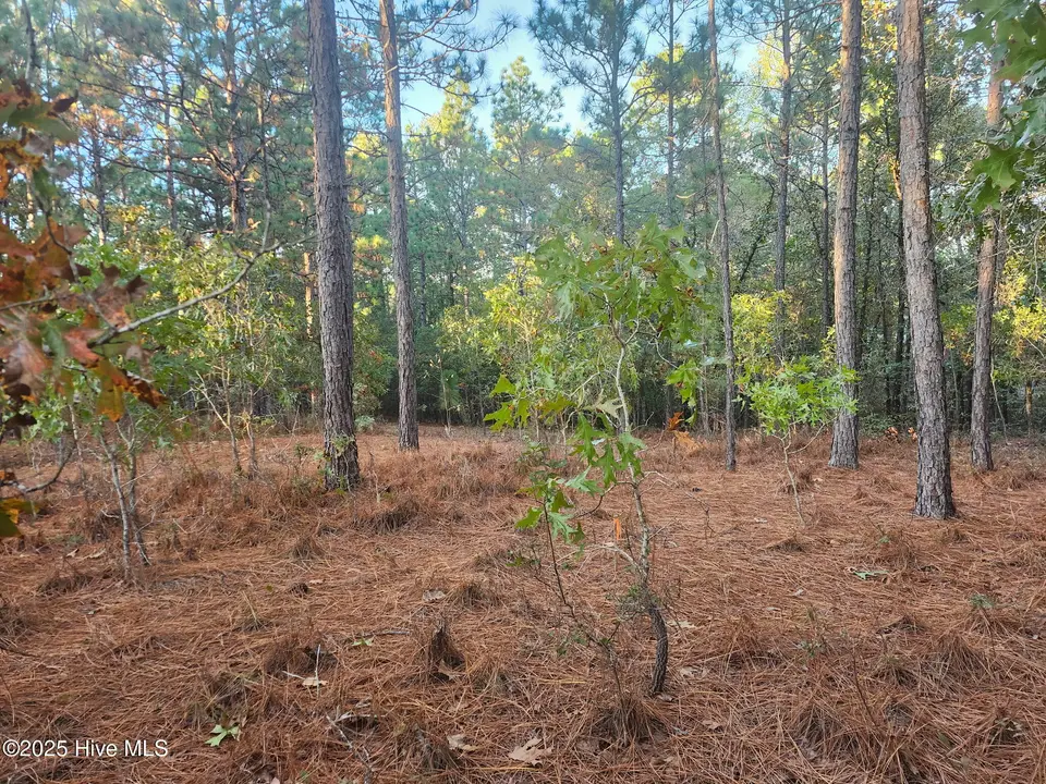4 Brassie Circle, Jackson Springs, NC 27281 – photo 1 of 25: IMG_20251020_190956