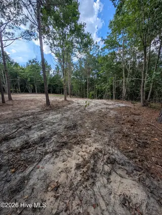 Tbd 2R-3 Peyton Drive, Eagle Springs, NC 27242 – photo 10: PXL_20260707_210806676