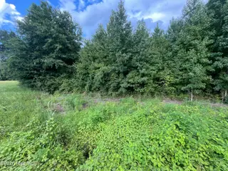 00 Near 1008 N Brown Street, Chadbourn, NC 28431 – photo 3: IMG_5260