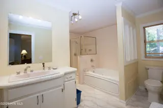 6 Pine Tree Terrace, Jackson Springs, NC 27281 – photo 20: Primary Bath