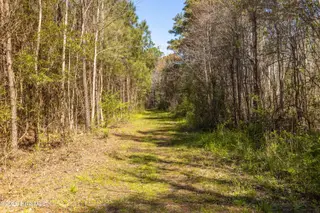 103 Winters Rest Road, Beaufort, NC 28516 – photo 13: Beaufort Club-12