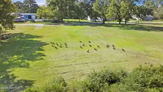 109 1 Beech Street, New Bern, NC 28560 – photo 17: 11_dji_0994