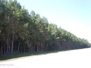 Near 10547 Andrew Jackson Highway SW, Fair Bluff, NC 28439 – photo 5: DSCN9933