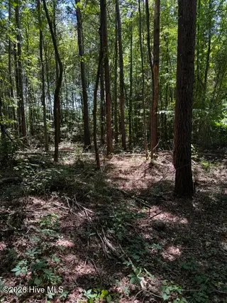 Lot 1 Dan Road, Robbins, NC 27325 – photo 7: 6