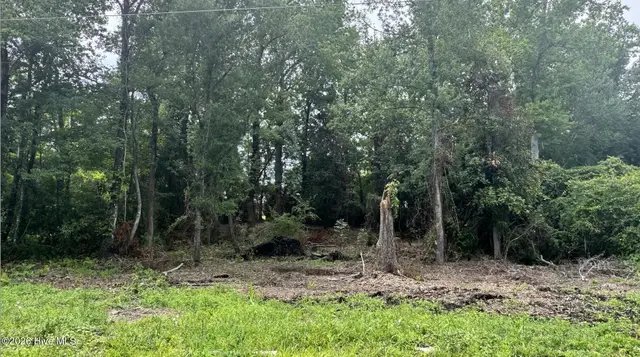 610 Dogwood Lane, Wilmington, NC 28409