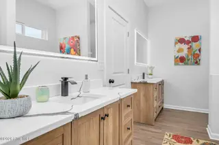 1173 Nick Coley Road, Whitakers, NC 27891 – photo 18: Primary Bath with 2 Vanities and Lighted
