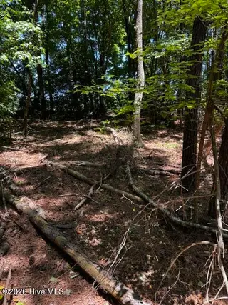 Lot 1 Dan Road, Robbins, NC 27325 – photo 14: 13