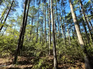 Carolina Shores, Bath – photo 6: 1000032913 (1)