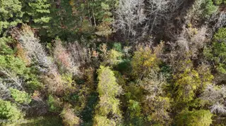 0000 Sr 1100, Blounts Creek, NC 27814 – photo 1: 1 LOT .50 AC