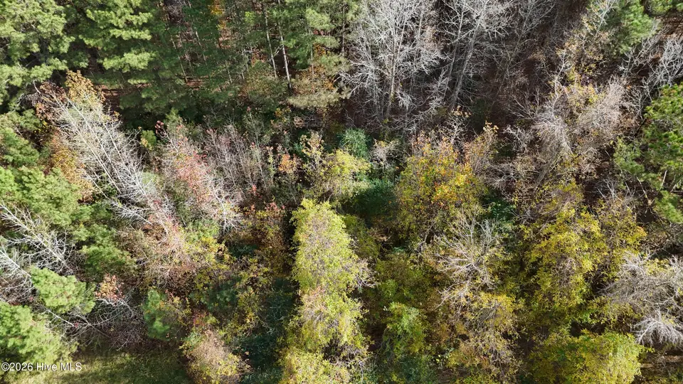 0000 Sr 1100, Blounts Creek, NC 27814 – photo 1 of 4: 1 LOT .50 AC