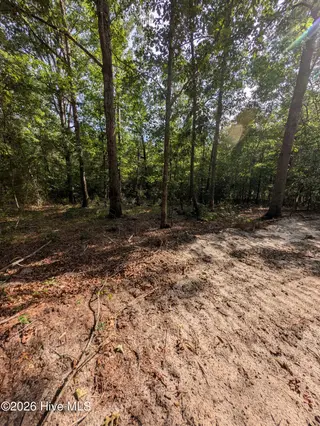Tbd 2R-2 Peyton Drive, Eagle Springs, NC 27242 – photo 3: PXL_20260707_210246920