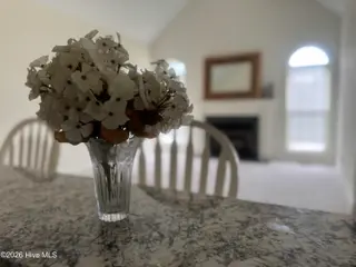 205 Tonya Drive, Goldsboro, NC 27534 – photo 11: IMG_8136