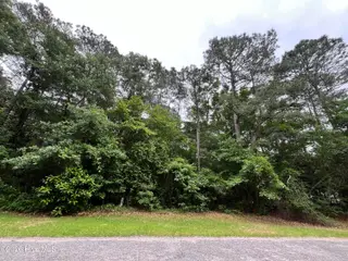 102 Hollybrook Lane, Dudley, NC 28333 – photo 2: IMG_1094